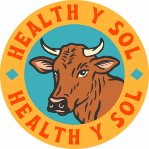 Health y Sol Logo
