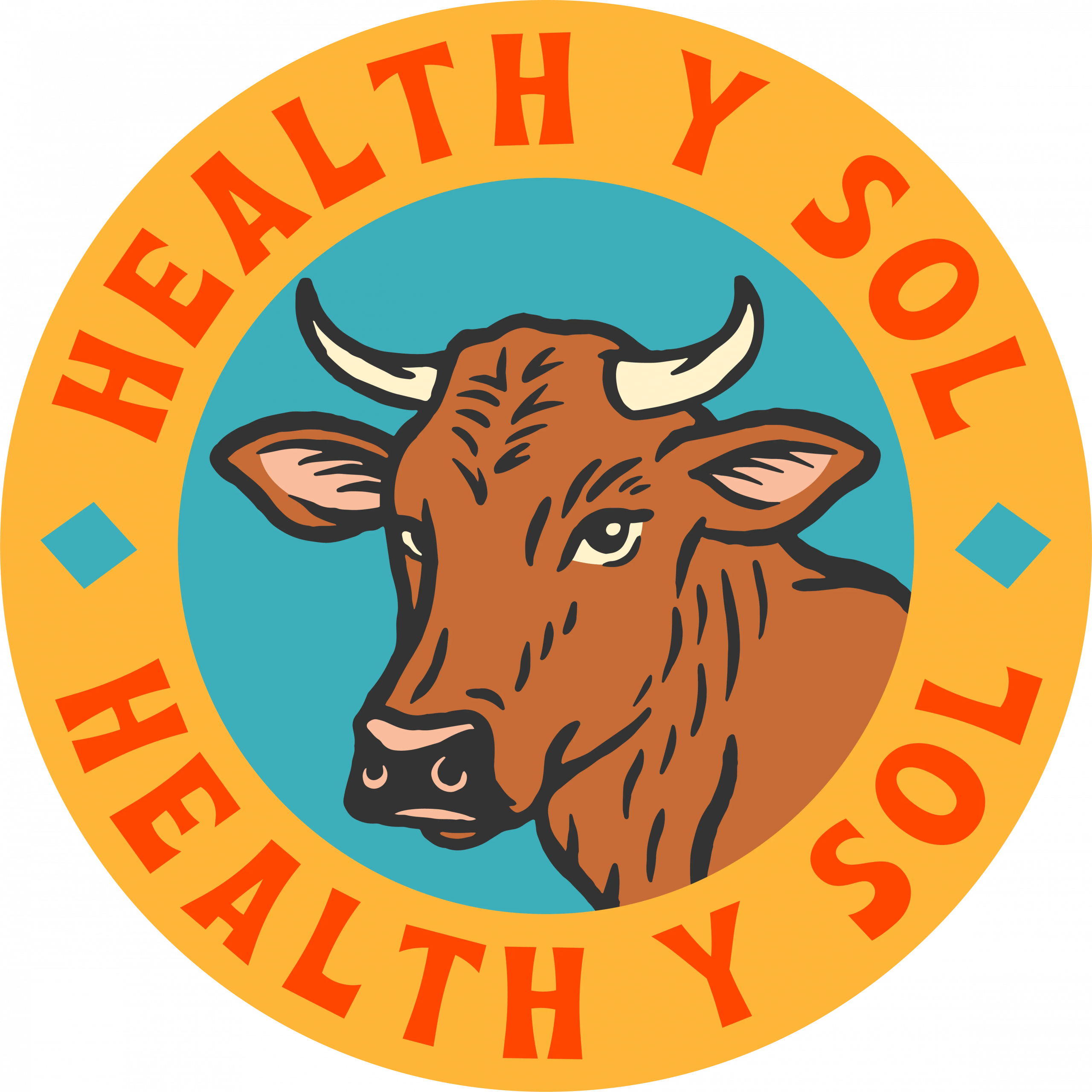 Health y Sol Logo